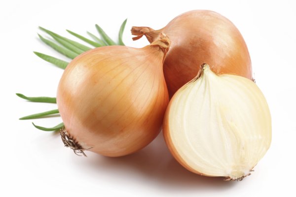 Mega darknet market onion