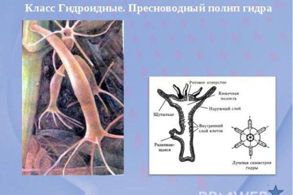 Мега официальный сайт дракнет